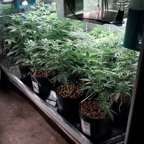 Demeter growlog photo: Primeiro registro do dia.