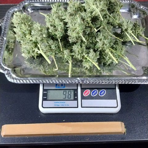 Demeter growlog timeline photo