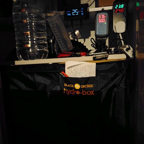 Gorilla Zkittlez Auto growlog photo: Lowered temp by 1°C to reduce humidity.
The wether outside is so wet. 