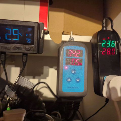 Gorilla Zkittlez Auto growlog timeline photo