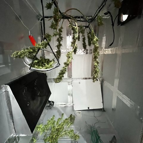 Prensadinho do Bérin 2 e 3 growlog timeline photo