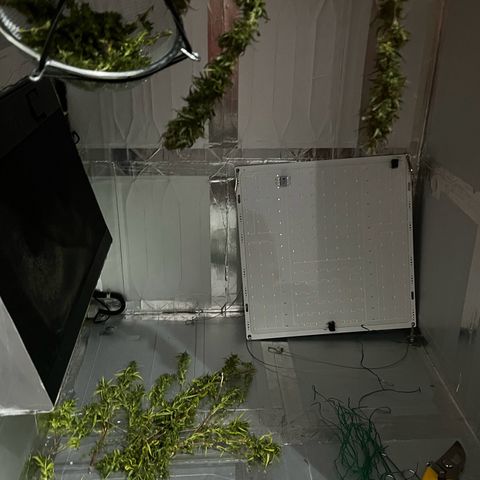 Prensadinho do Bérin 2 e 3 growlog timeline photo
