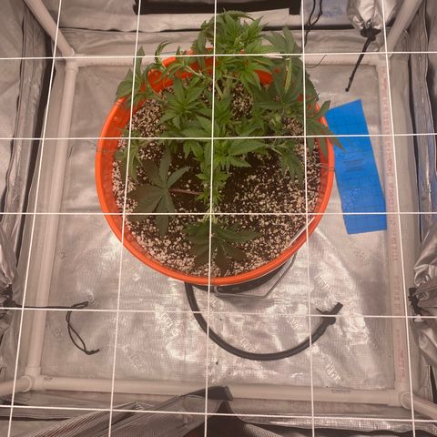 Block Monster growlog timeline photo