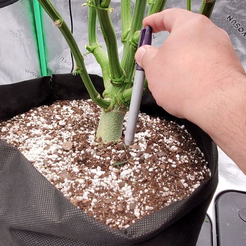 Section A (Solfire) growlog timeline photo