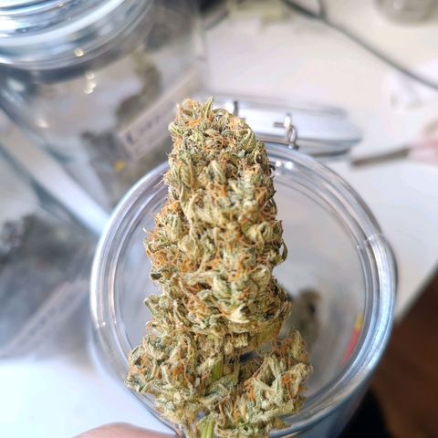 Ak 47 growlog timeline photo