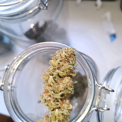 London cheese  growlog timeline photo