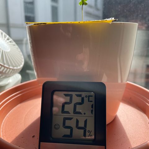 Auto Purple  growlog timeline photo