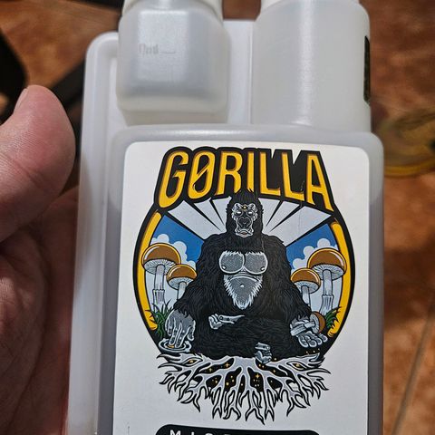Gorilla Glue growlog photo: Vamos tentar melhorar os problemas de absorção de nutrientes 