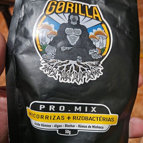Gorilla Glue growlog photo: Vamos tentar melhorar os problemas de absorção de nutrientes 