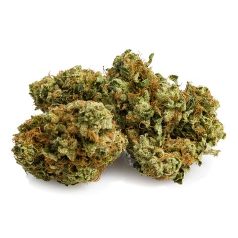  Bubba Kush 2.5 growlog photo
