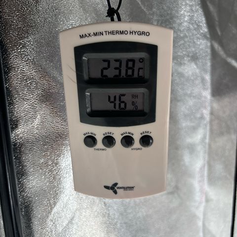 Appel Fritter Auto growlog timeline photo