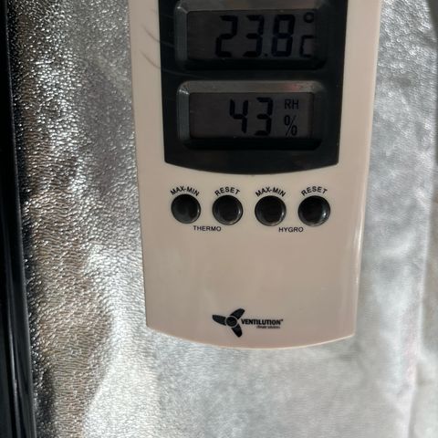 Appel Fritter Auto growlog timeline photo