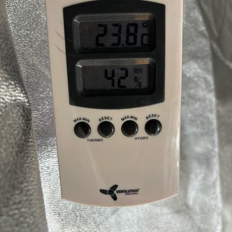 Appel Fritter Auto growlog timeline photo