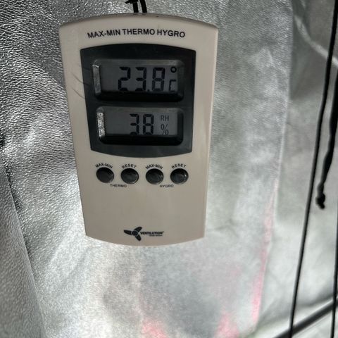 Appel Fritter Auto growlog timeline photo
