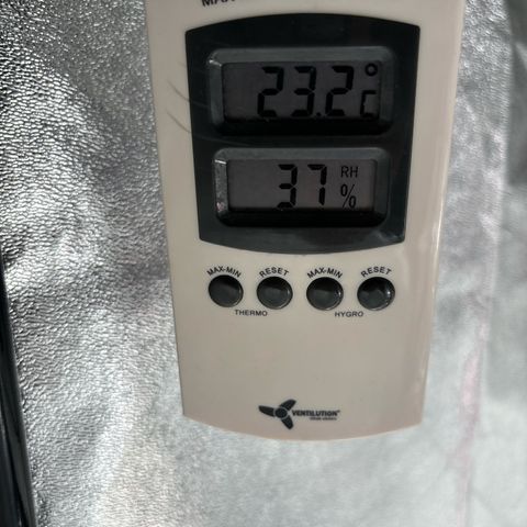 Appel Fritter Auto growlog timeline photo