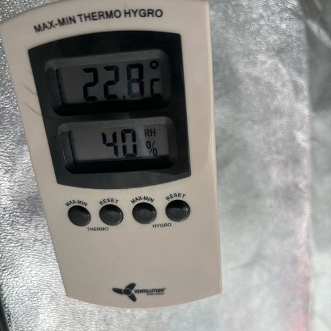 Appel Fritter Auto growlog timeline photo