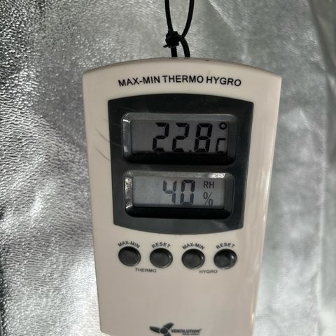 Appel Fritter Auto growlog timeline photo