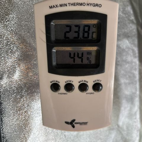 Appel Fritter Auto growlog timeline photo