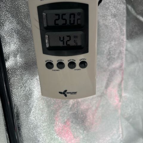 Appel Fritter Auto growlog timeline photo