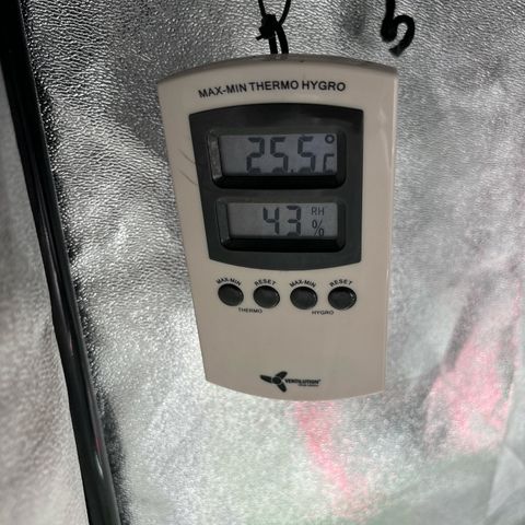 Appel Fritter Auto growlog timeline photo
