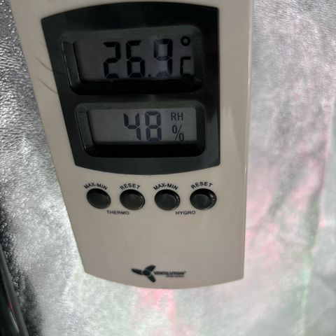 Appel Fritter Auto growlog timeline photo