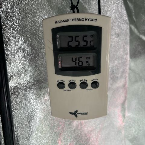 Appel Fritter Auto growlog timeline photo