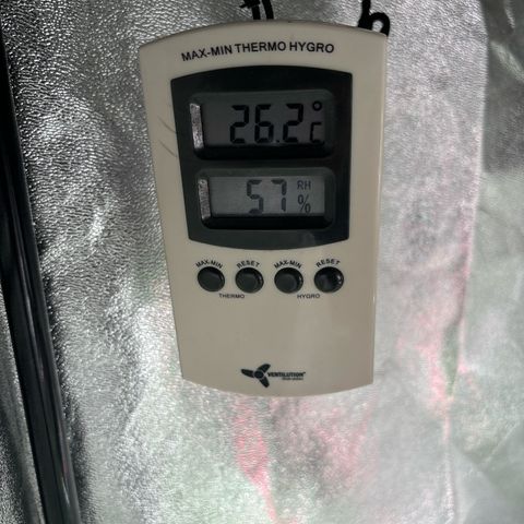 Appel Fritter Auto growlog timeline photo