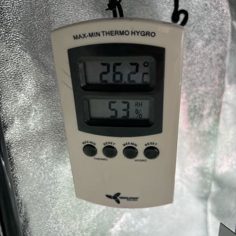 Appel Fritter Auto growlog timeline photo
