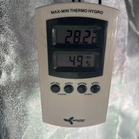 Appel Fritter Auto growlog timeline photo