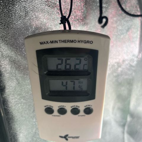 Appel Fritter Auto growlog timeline photo