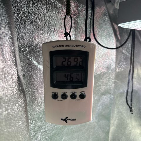 Appel Fritter Auto growlog timeline photo