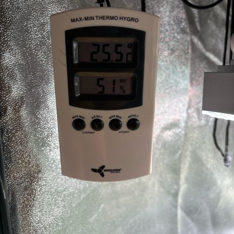 Appel Fritter Auto growlog timeline photo