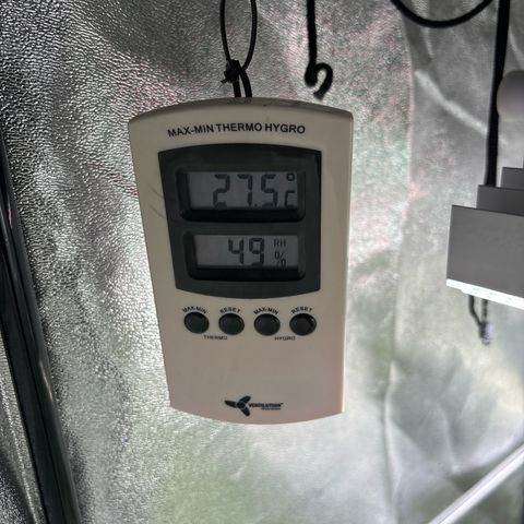 Appel Fritter Auto growlog timeline photo