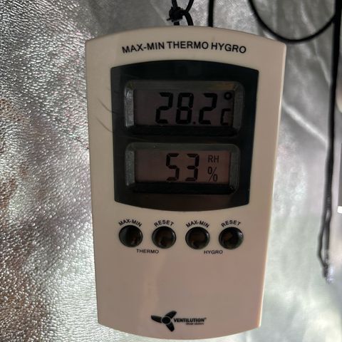 Appel Fritter Auto growlog timeline photo