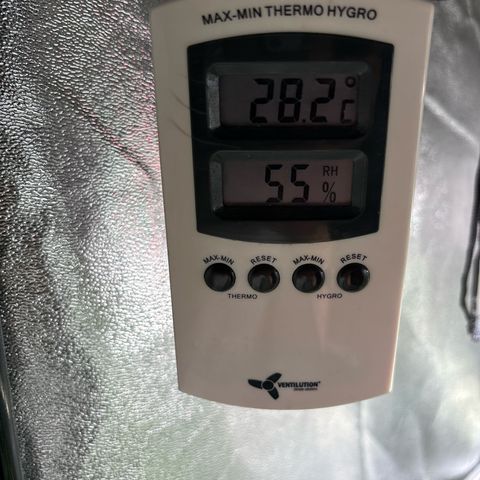 Appel Fritter Auto growlog timeline photo