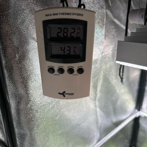 Appel Fritter Auto growlog timeline photo