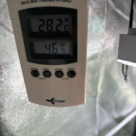 Appel Fritter Auto growlog timeline photo