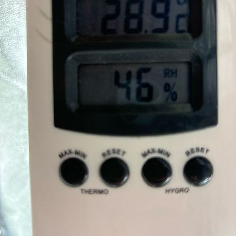 Appel Fritter Auto growlog timeline photo