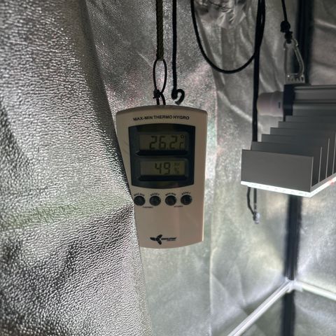 Appel Fritter Auto growlog timeline photo