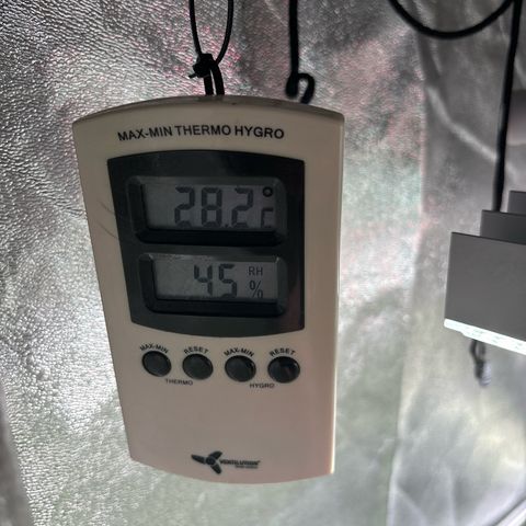 Appel Fritter Auto growlog timeline photo