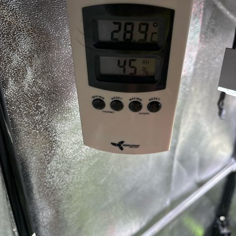 Appel Fritter Auto growlog timeline photo