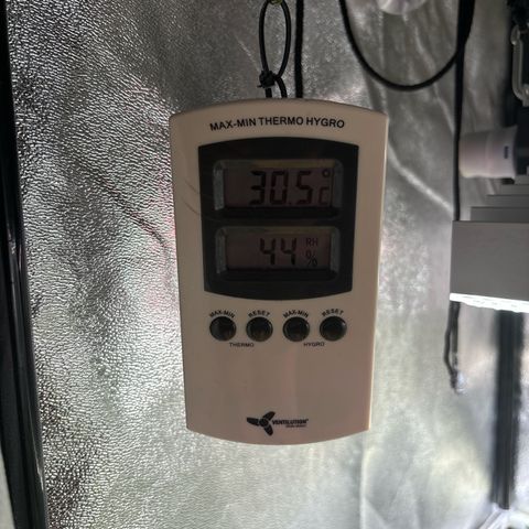 Appel Fritter Auto growlog timeline photo