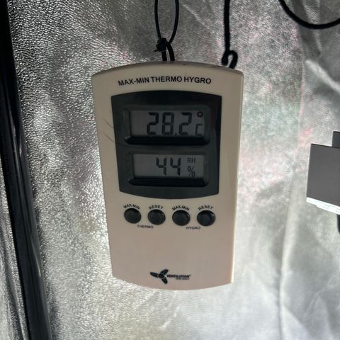 Appel Fritter Auto growlog timeline photo