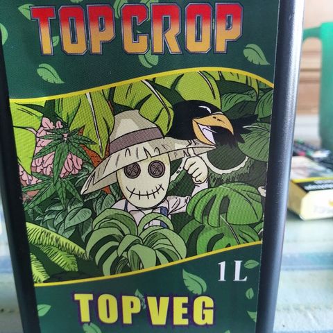 Auto somango#2 growlog timeline photo