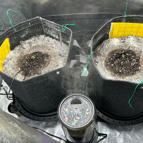 Samsquanch OG growlog timeline photo