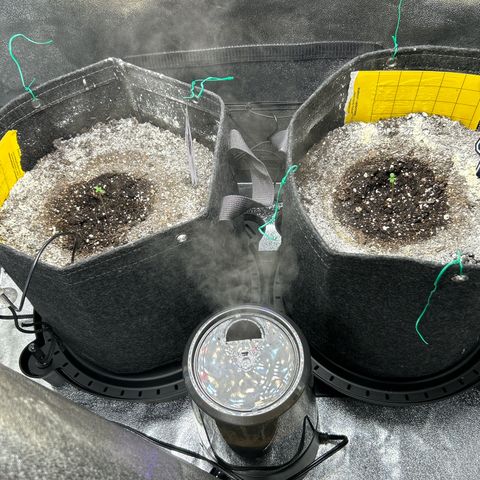 Samsquanch OG growlog timeline photo