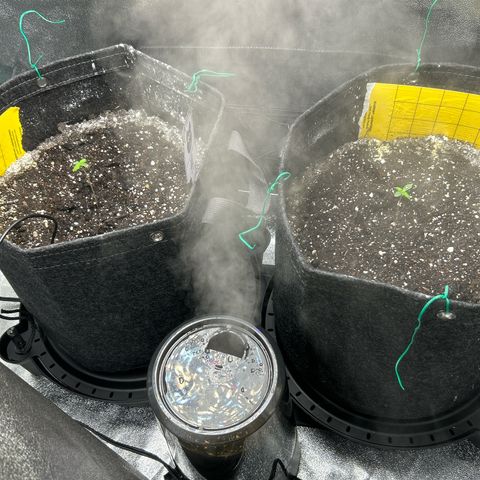 Samsquanch OG growlog timeline photo