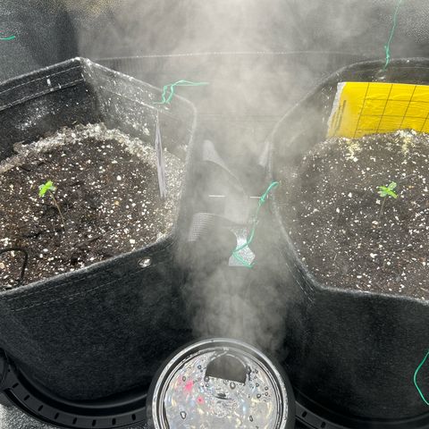 Samsquanch OG growlog timeline photo