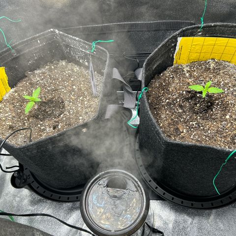 Samsquanch OG growlog timeline photo