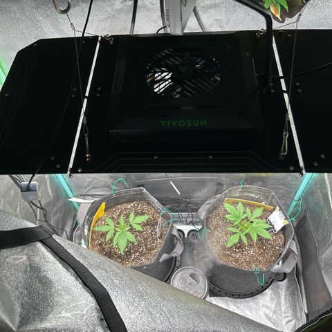 Samsquanch OG growlog timeline photo